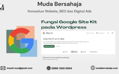 Google Site Kit : Fungsi Pada WordPress